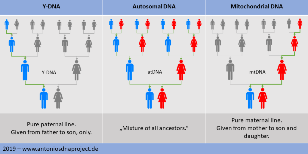 Overview DNA