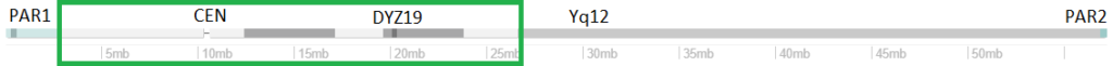 fig. 2: Y-Chromosome