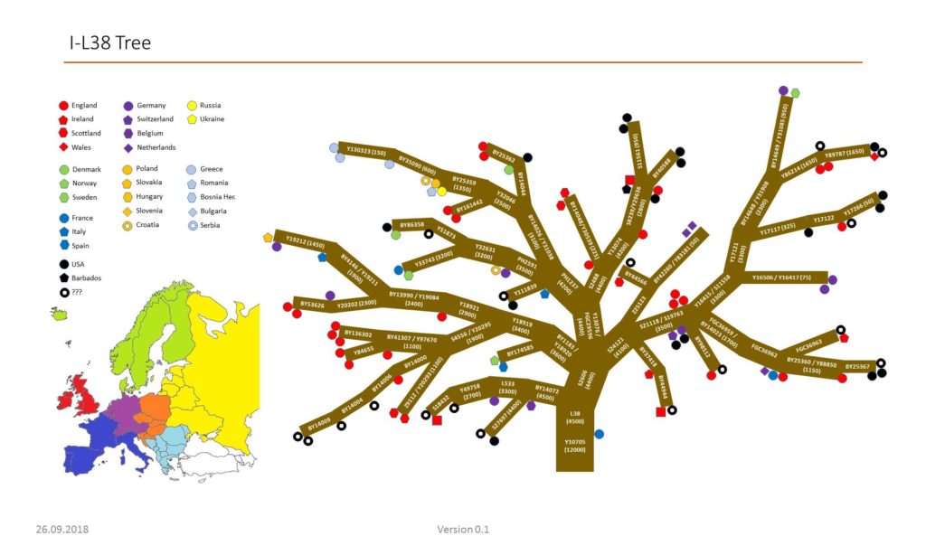 First version of I-L38 FigUre tree, from 09-2018 – ΑΝΤΩΝΙΟΣ ΔΝΑ ...